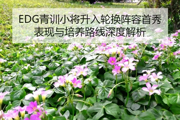 EDG青训小将升入轮换阵容首秀表现与培养路线深度解析