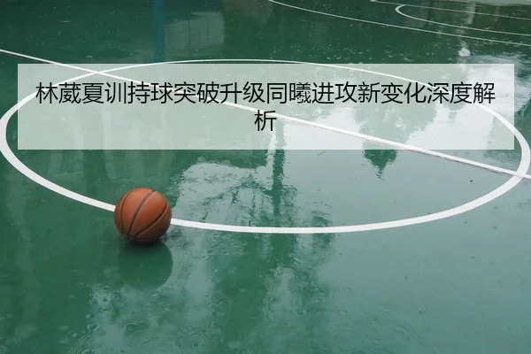 林葳夏训持球突破升级同曦进攻新变化深度解析